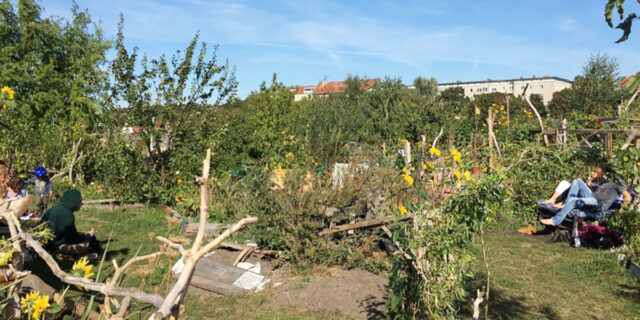 【BIOTOPE TIDE】After Coronaの世界 vol.4-2 公開