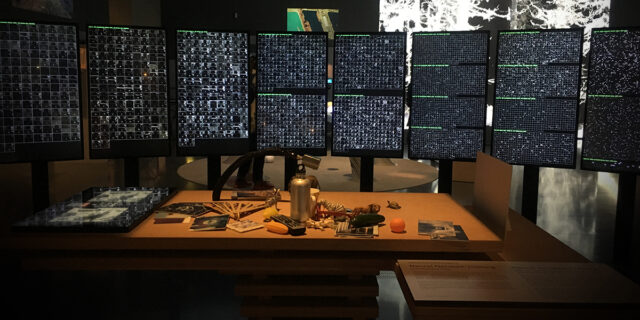 【BIOTOPE TIDE】対抗文化の新都より vol.4 公開