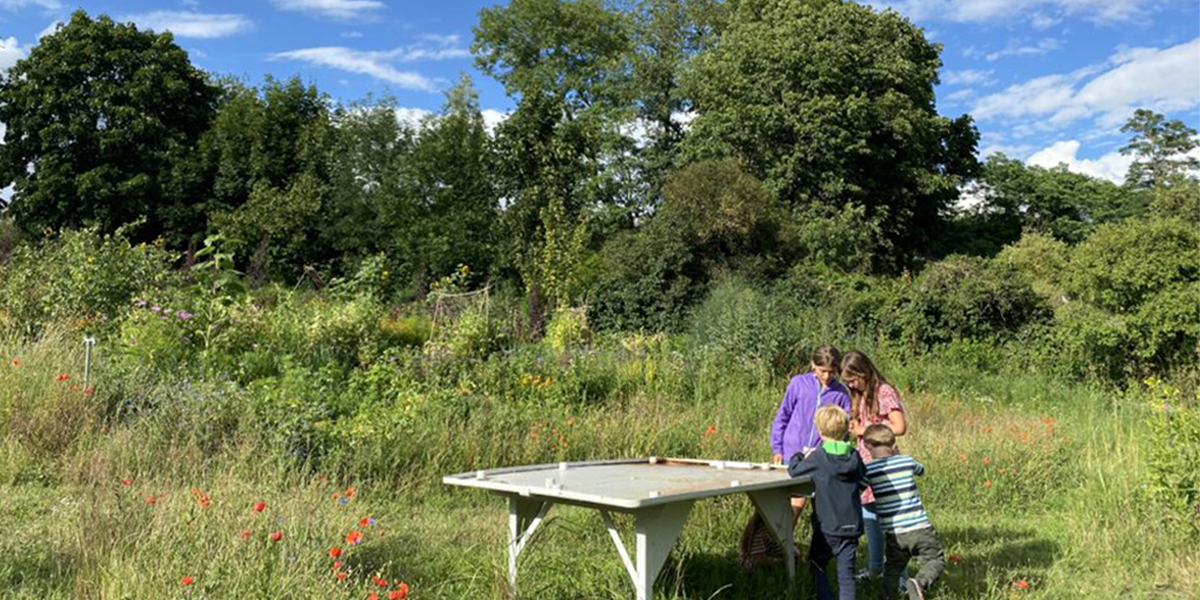 【BIOTOPE TIDE】対抗文化の新都より　新着記事