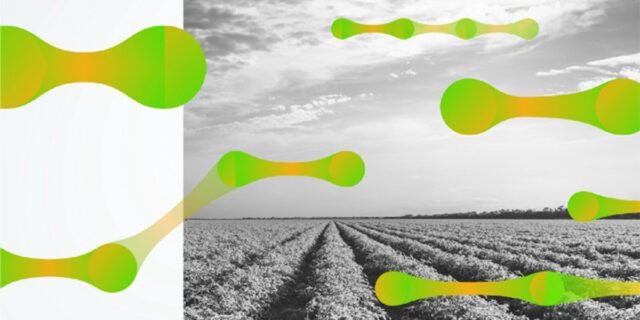 【Dots & Loops】いきものCo.代表 菊池紳氏 インタビュー