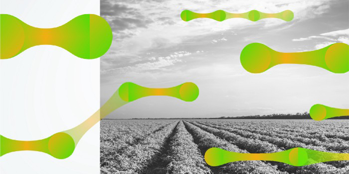 【Dots & Loops】いきものCo.代表 菊池紳氏 インタビュー