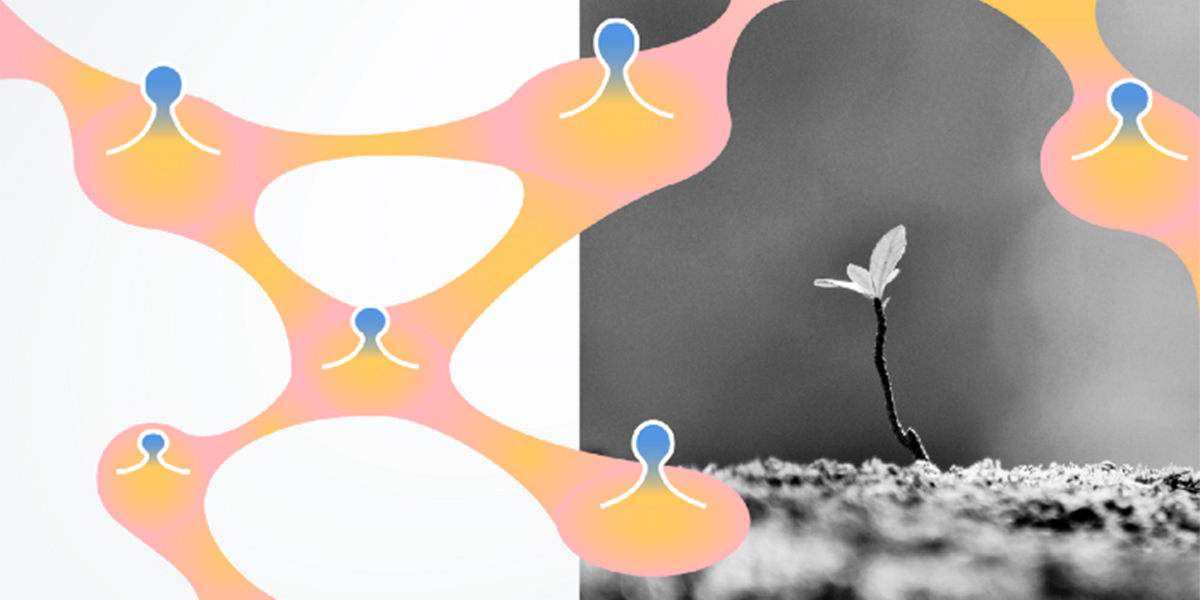 【Dots & Loops】児童精神科医/NPO法人PIECES代表 小澤いぶき氏 インタビュー